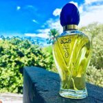 Afshan Arabic Eau De Parfum 100ml for Men & Women | Long Lasting Oriental Perfume with Floral, Spicy & Oud Notes
