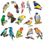 3D Colorful Birds Wall Stickers Pack of 8 | Removable DIY Wall Decals for Home and Bedroom Decor