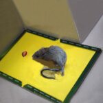 Reusable Expert Catch Mouse & Rat Glue Trap Strong Adhesive Non Toxic Pest Control - Image 5