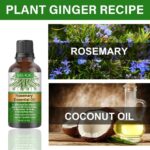 30ml Rosemary Hair Care Essential Oil Anti Hair Loss Growth Nourishing Scalp Treatment - Image 2