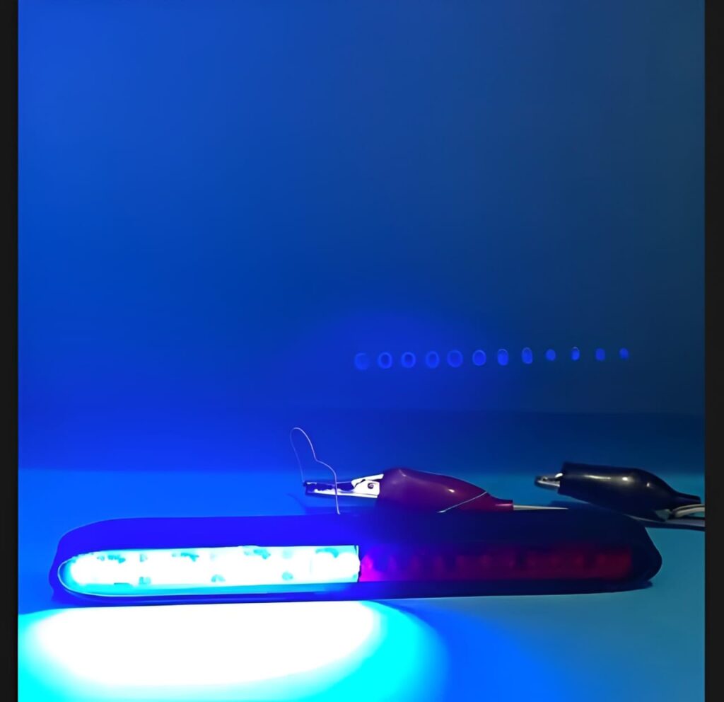Warning Emergency Police Strobe Light for Bikes & Cars | Red Blue Dolphin Flash LED Light 12V