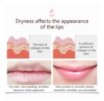 BIOAQUA Lip Care Jelly Lip Sleeping Mask 20gm Hydrating Lip Repair - Image 2